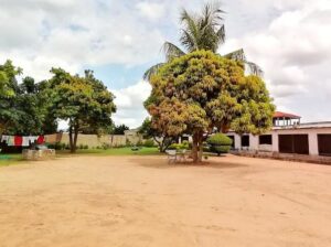 Aviário à Venda, na Matola Rio