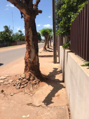 Arrendamento  de belíssima  moradia do tipo 3 na Matola fomento a berma da estrada