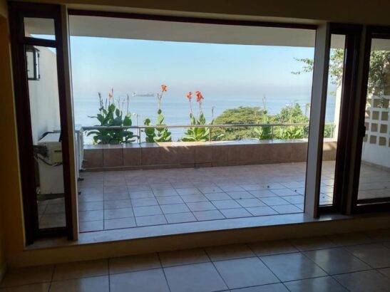 3 bedroom apartment in Caracol