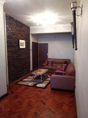 Vende-se  Super apartamento T2 no Bairro Central Av. Josina Machel / Karl Max