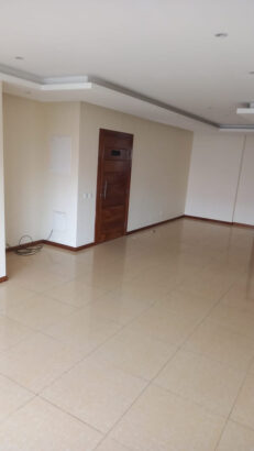 Arrendo apartamento tip1 no condomínio the Palm  na avenida Julius nyerere